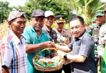Wakil Ketua DPRD Barito Utara Benny Siswanto Sambut Positif Panen Raya Jagung di Desa Jamut