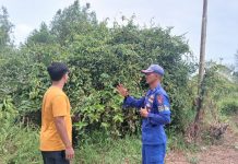 Ditpolairud Polda Kalteng Gencarkan Tindakan Preventif Cegah Karhutla di DAS Jelai