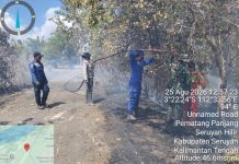 Ditpolairud Polda Kalteng Terlibat Memadamkan Kebakaran Lahan 2,5 Hektare di Seruyan