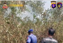 Waspada Karhutla, Ditpolairud Polda Kalteng Gelar Pemantauan dan Penanganan