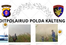 Ditpolairud Polda Kalteng Turun ke Lapangan Padamkan Karhutla di Wilayah Jelai