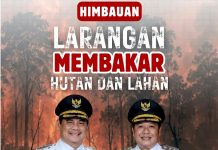 Bupati Barito Utara Shalahuddin Perkuat Pencegahan Karhutla, Larang Warga Bakar Lahan