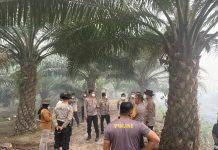 PJU Polda Kalteng Cek Penanggulangan Karhutla, Dirpolairud Dampingi Kapolda ke Bukit Batu
