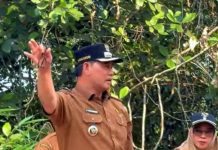 Bupati Barito Utara Shalahuddin Inginkan Proyek Infrastruktur Strategis Berjalan Sesuai Target