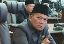 Politikus Demokrat Ardianto Soroti Gerak Cepat Penanganan Karhutla di Barito Utara