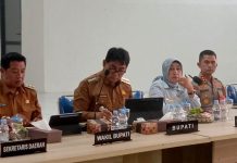 Ketua DPRD Barito Utara Mery Rukaini Imbau Perusahaan Turun Tangan Tangani Karhutla