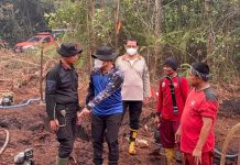 Kapolda Kalteng Didampingi Dirpolairud Tinjau Penanggulangan Karhutla di Kabupaten Pulang Pisau