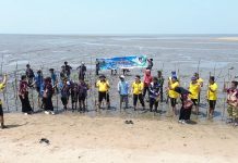 Ditpolairud Polda Kalteng Helat Aksi Green Policing, Tanam Mangrove di Ujung Pandaran