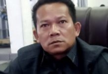 Sekretaris Komisi II Ardianto : Akses jalan kunci percepatan sambungan listrik ke desa terpencil